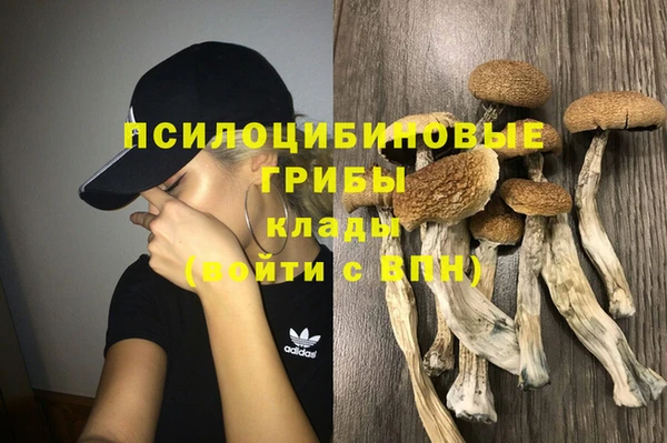 винт Алексеевка