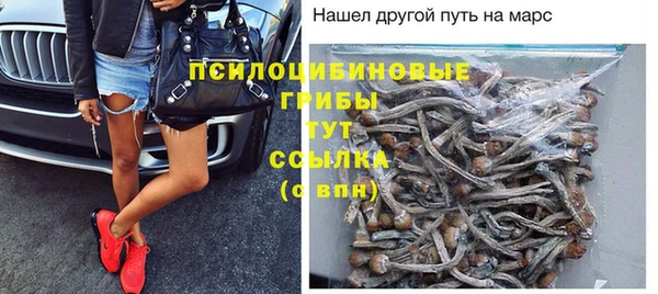 винт Алексеевка
